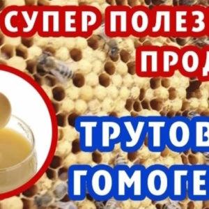 Трутневый гемогенат